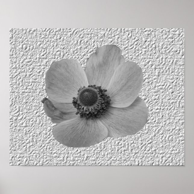 Vintage Anemone Flower Print (Front)