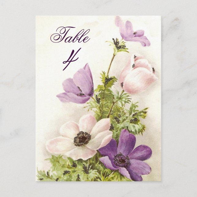 Vintage Anemone Postcard (Front)