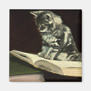 Vintage Animal, Cute Victorian Kitten Reading Book Magnet