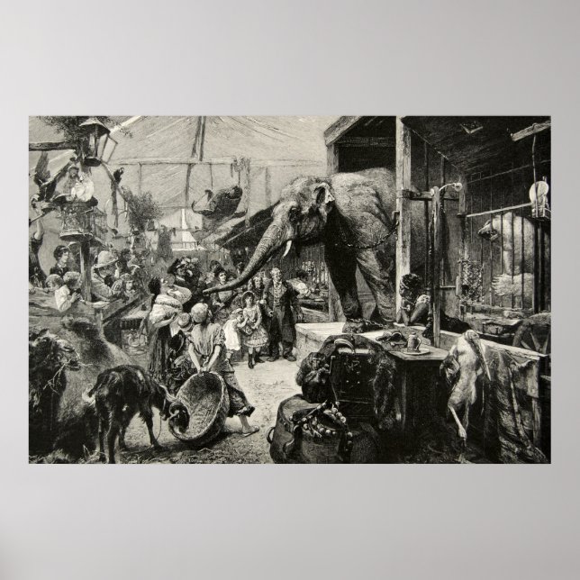 Vintage Animal Elephant Zoo Engraving Children Poster (Front)