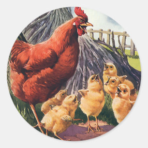 Vintage Animals, Chicken with Baby Chicks on Farm Classic Round Sticker