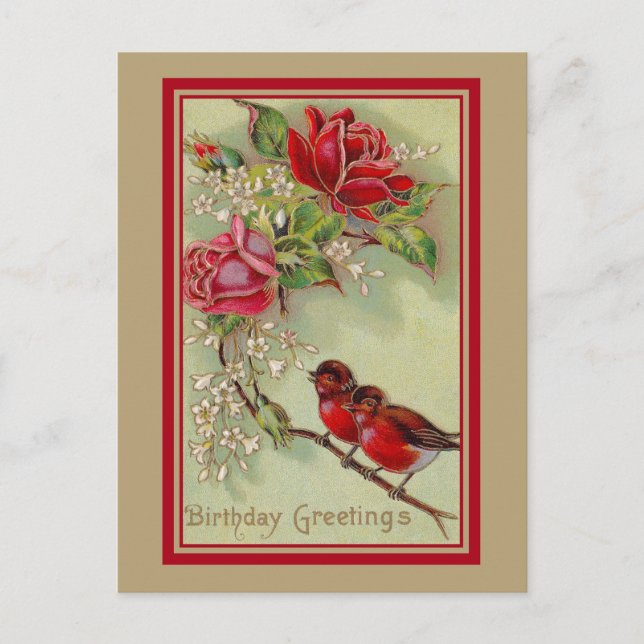 Vintage antique birthday greetings, robins, roses postcard (Front)