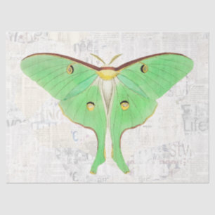 Vintage Antique Luna Moth Butterfly Decoupage Tissue Paper
