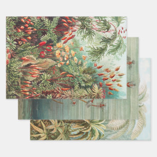 Vintage Antique Nature Flowers Rainforest Wrapping Paper Sheet