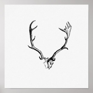 Vintage Antlers Illustration Poster
