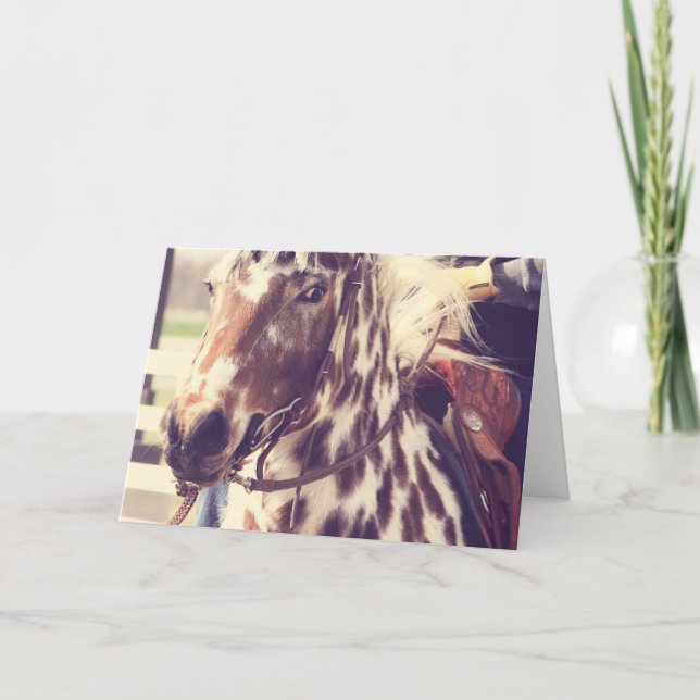Vintage Appaloosa Show Horse, Birthday Card (Front)