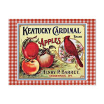 Vintage Apple Ad Postcard