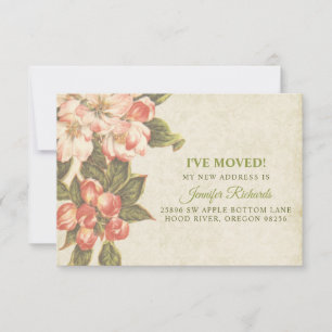 Vintage Apple Blossom Just Moved Card