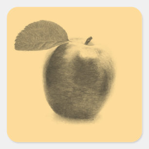 Vintage Apple Fruit Painting Art - Stickers