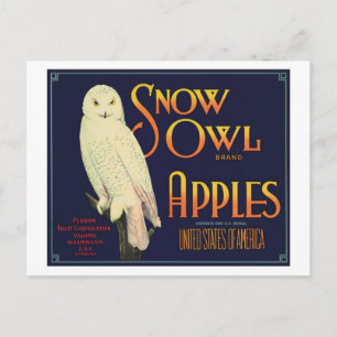 Vintage Apples Food Product Label Postcard
