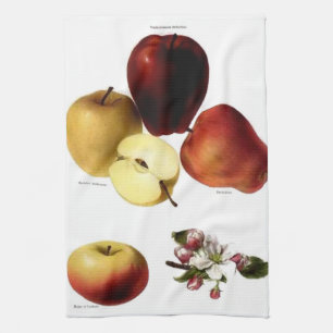 Vintage Apples Tea Towel