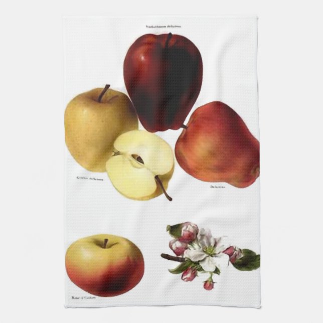 Vintage Apples Tea Towel (Vertical)