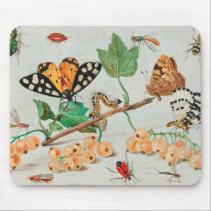 Vintage Aqua Still Life Illustration Mouse Pad