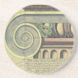 Vintage Architecture; Capital Volute by Vignola Coaster