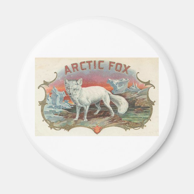 Vintage Arctic Fox Magnet (Front)