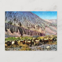 Vintage ,Argentina, Rock Erosion, herd of goats