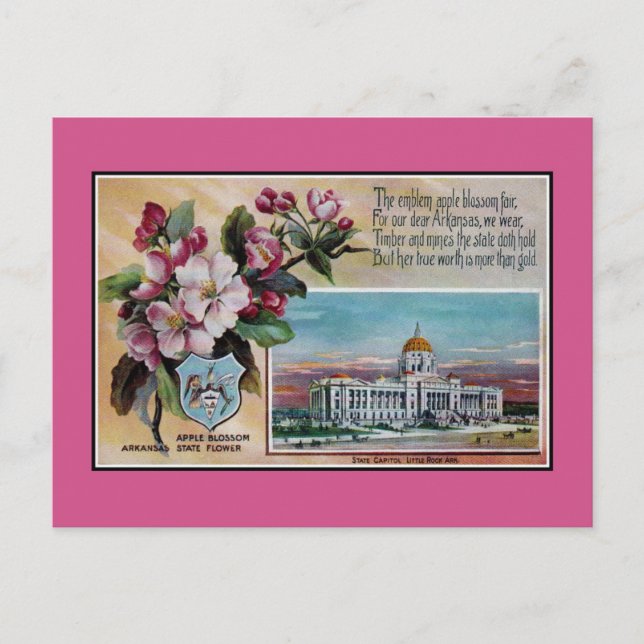 Vintage Arkansas State flower, poem Postcard (Front)