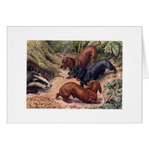 Vintage Art - Dachshunds & a Badger,