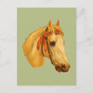 Vintage Art Horse Head Drawing Postcard