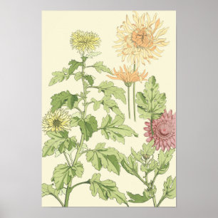 Vintage Art Nouveau, Chrysanthemums in a Garden Poster