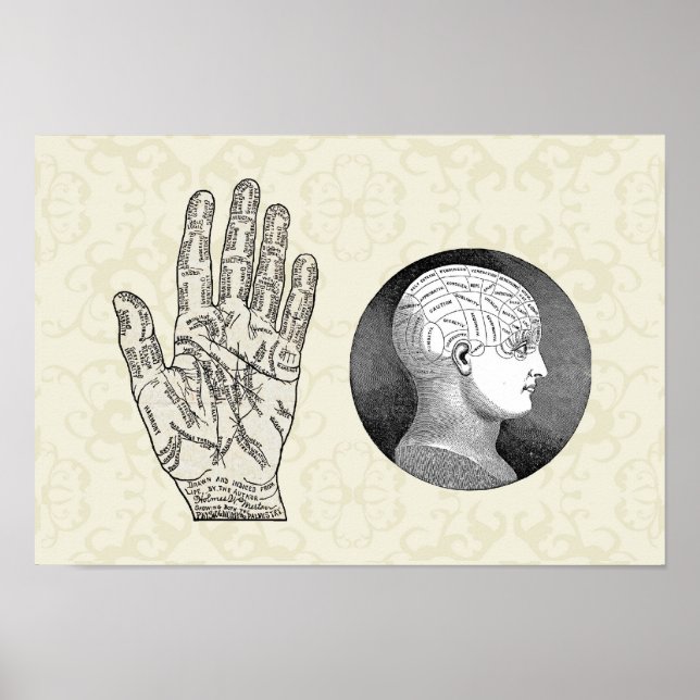 Vintage Art Palmistry and Phrenology diagrams Poster (Front)