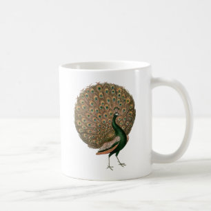 Vintage art Peafowl (peacock) plummage green gold Coffee Mug