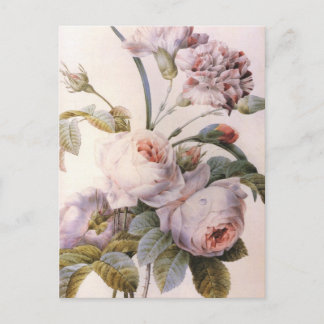 Vintage Art Rose Carnation Flower Postcard