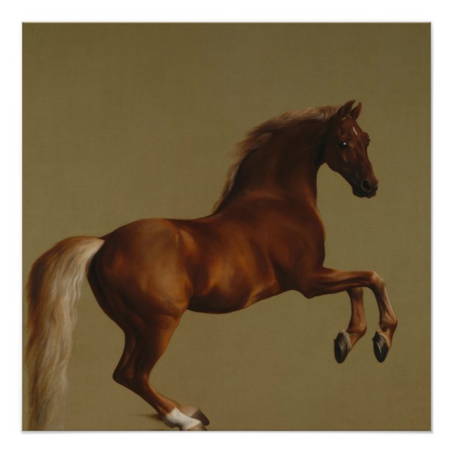 Vintage Art  Whistlejacket by George Stubbs Poster (Front)