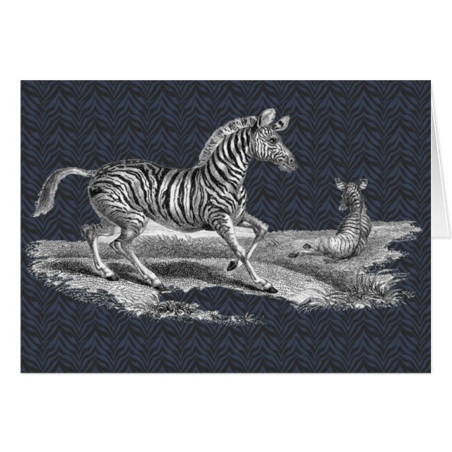 Vintage Art Zebra And Foal Wildlife Card (Front Horizontal)