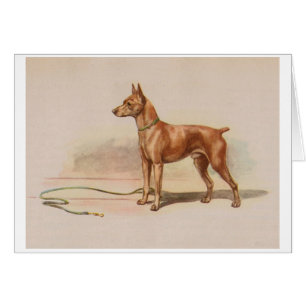 Vintage Artwork - Miniature Pinscher,