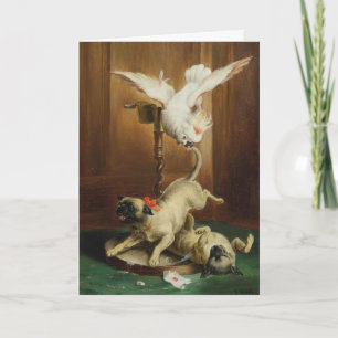 Vintage Artwork - Two Pugs and a Cockatoo, Card