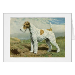 Vintage Artwork - Wire Fox Terrier Dog,