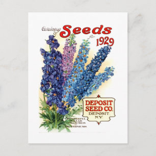 Vintage Assorted Delphiniums Seed Packet Postcard