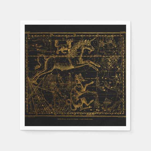 Vintage Astrological Unicorn Napkin (Front)