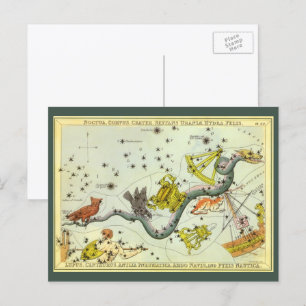 Vintage Astronomy, Hydra Snake Constellation Stars Postcard