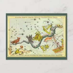 Vintage Astronomy, Hydra Snake Constellation Stars Postcard