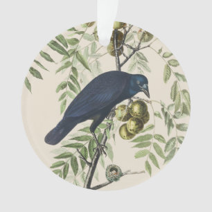 Vintage Audubon American Crow Bird Nature Art Ornament