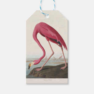 Vintage Audubon American Flamingo Pink Bird Art Gift Tags