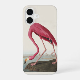 Vintage Audubon American Flamingo Pink Bird Art iPhone 16 Case