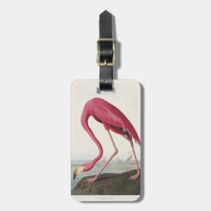 Vintage Audubon American Flamingo Pink Bird Art Luggage Tag
