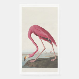 Vintage Audubon American Flamingo Pink Bird Art Napkin
