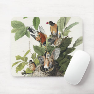 Vintage Audubon American Robin Bird Nest Art Mouse Pad
