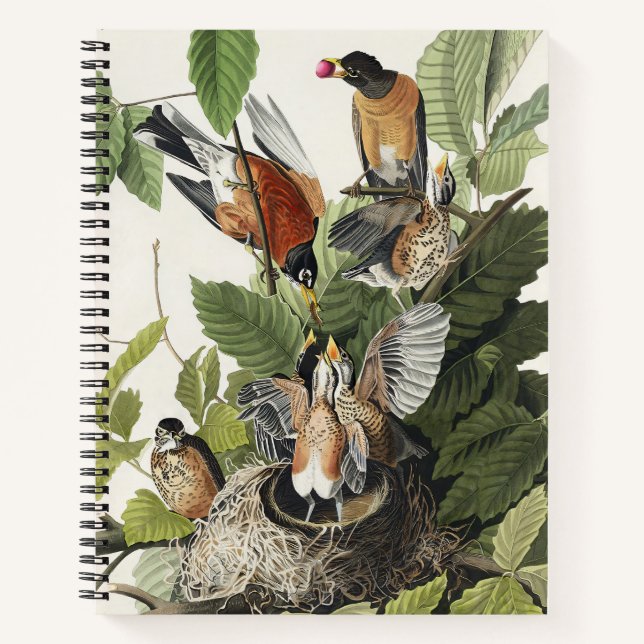 Vintage Audubon American Robin Bird Nest Art Notebook (Front)