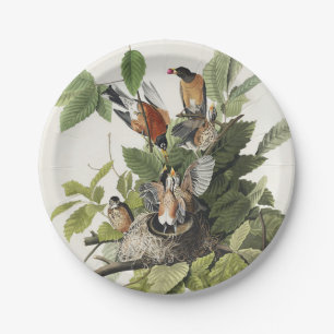 Vintage Audubon American Robin Bird Nest Art Paper Plate