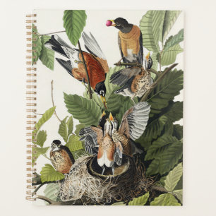 Vintage Audubon American Robin Bird Nest Art Planner