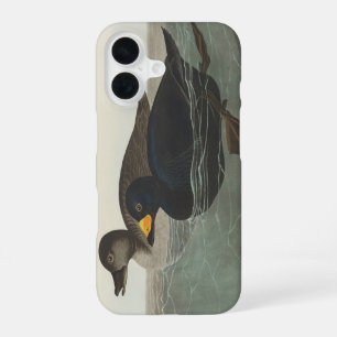 Vintage Audubon American Scoter Duck Bird Art iPhone 16 Case