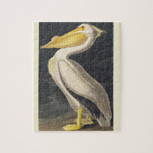 Vintage Audubon American White Pelican Bird Art Jigsaw Puzzle