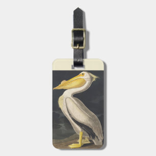 Vintage Audubon American White Pelican Bird Art Luggage Tag