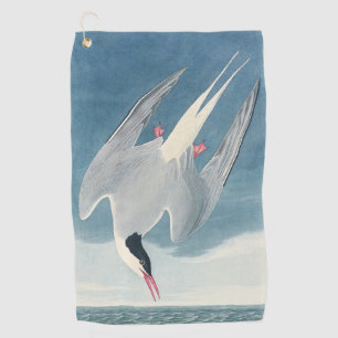 Vintage Audubon Arctic Tern Coastal Bird Art Golf Towel