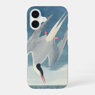 Vintage Audubon Arctic Tern Coastal Bird Art iPhone 16 Case